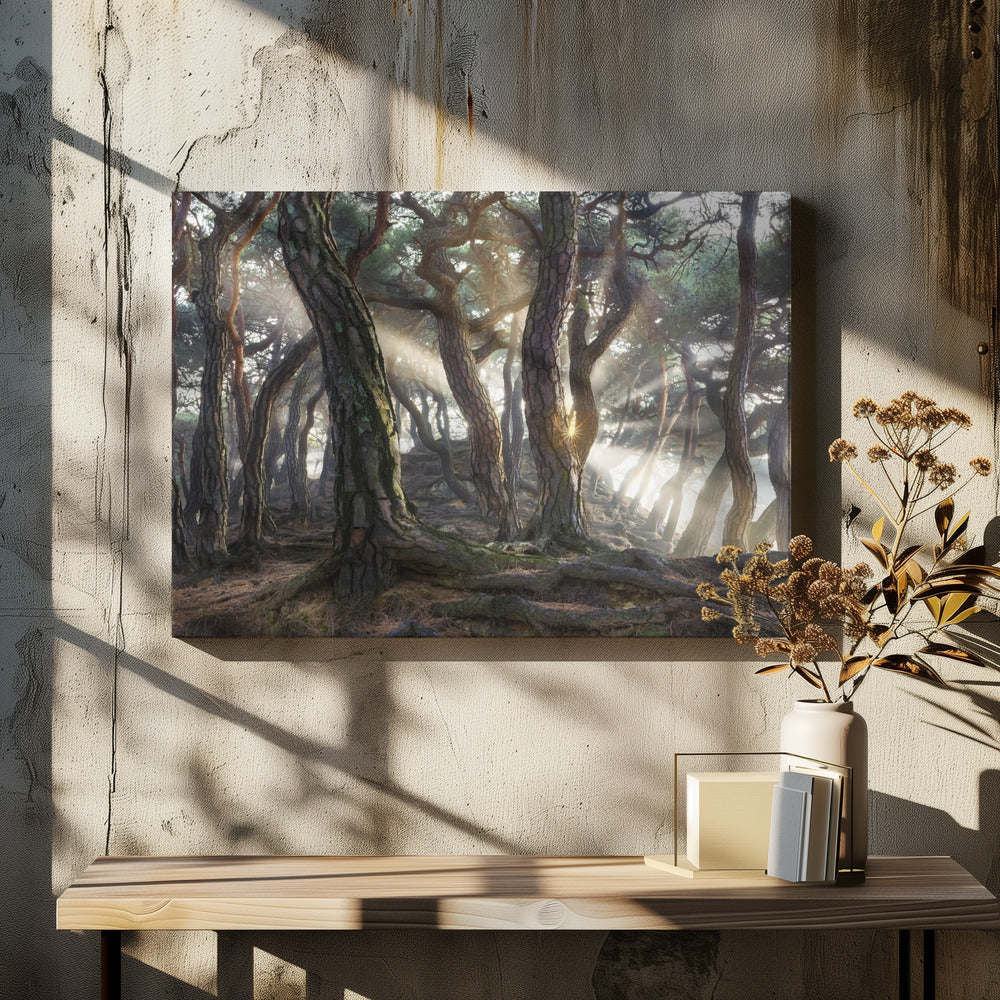 Sacred Pine Trees | Canvas