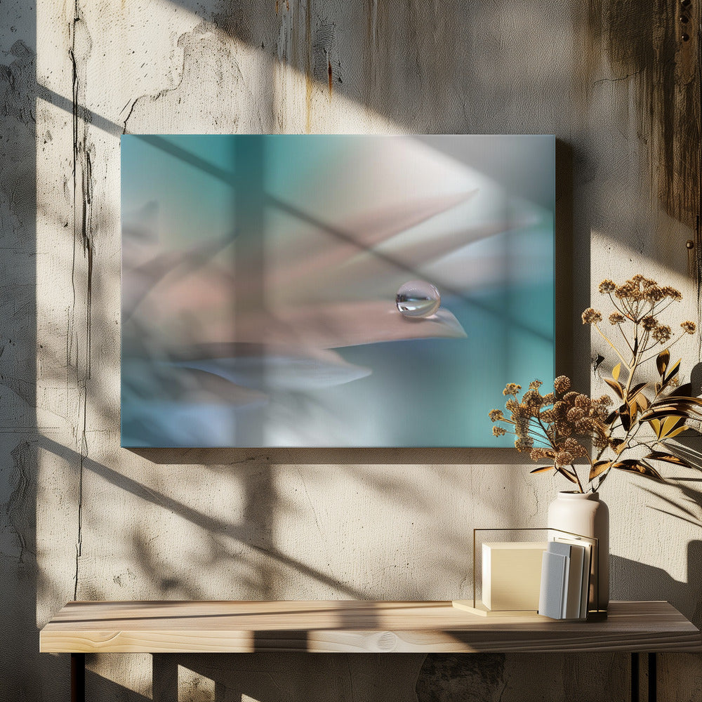 White Symphony.. | Canvas