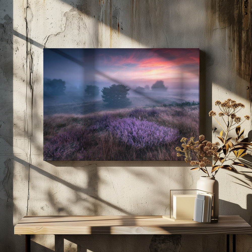 &quot;the colors of heather&quot; | Canvas