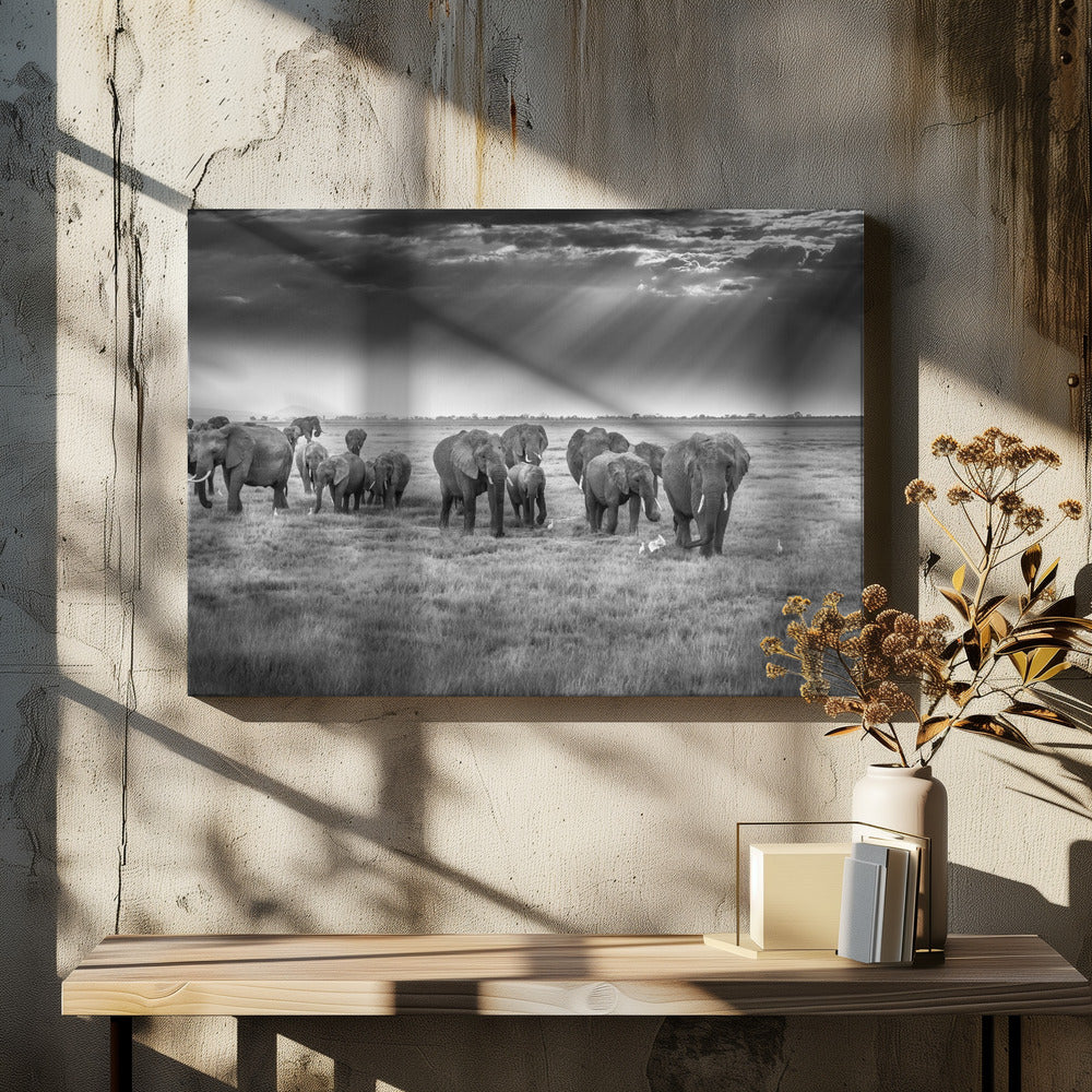 Breakfast with pachyderms | Canvas
