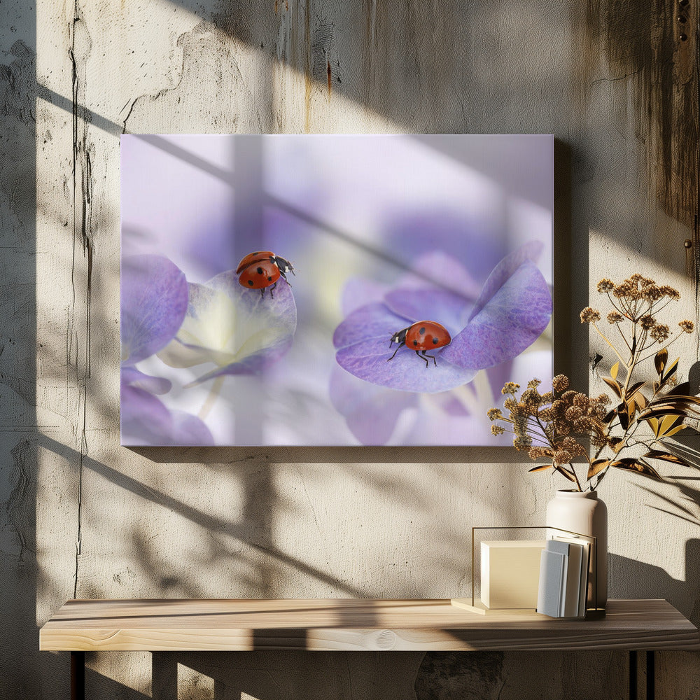 Red and purple | Canvas