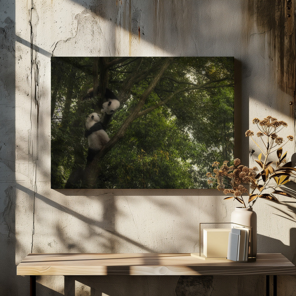 Panda | Canvas
