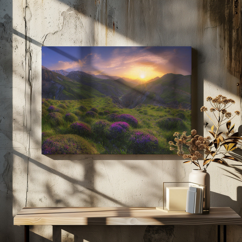 spring in show | Canvas