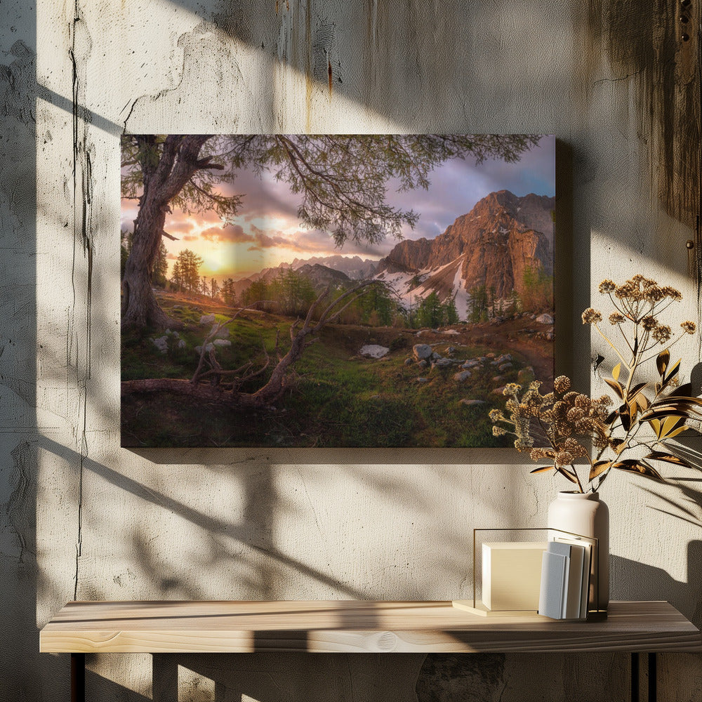 Magical morning | Canvas