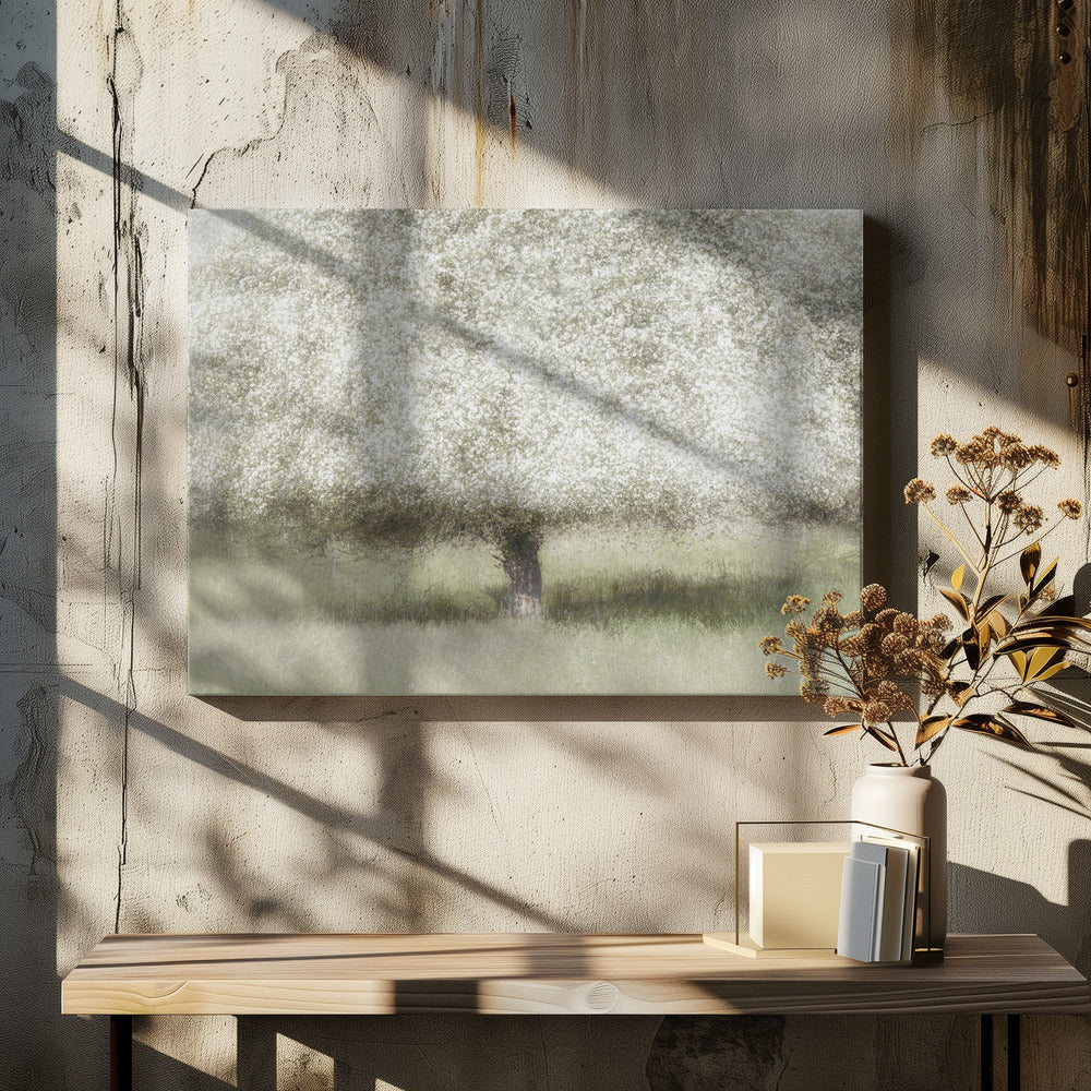 In the backyard | Canvas