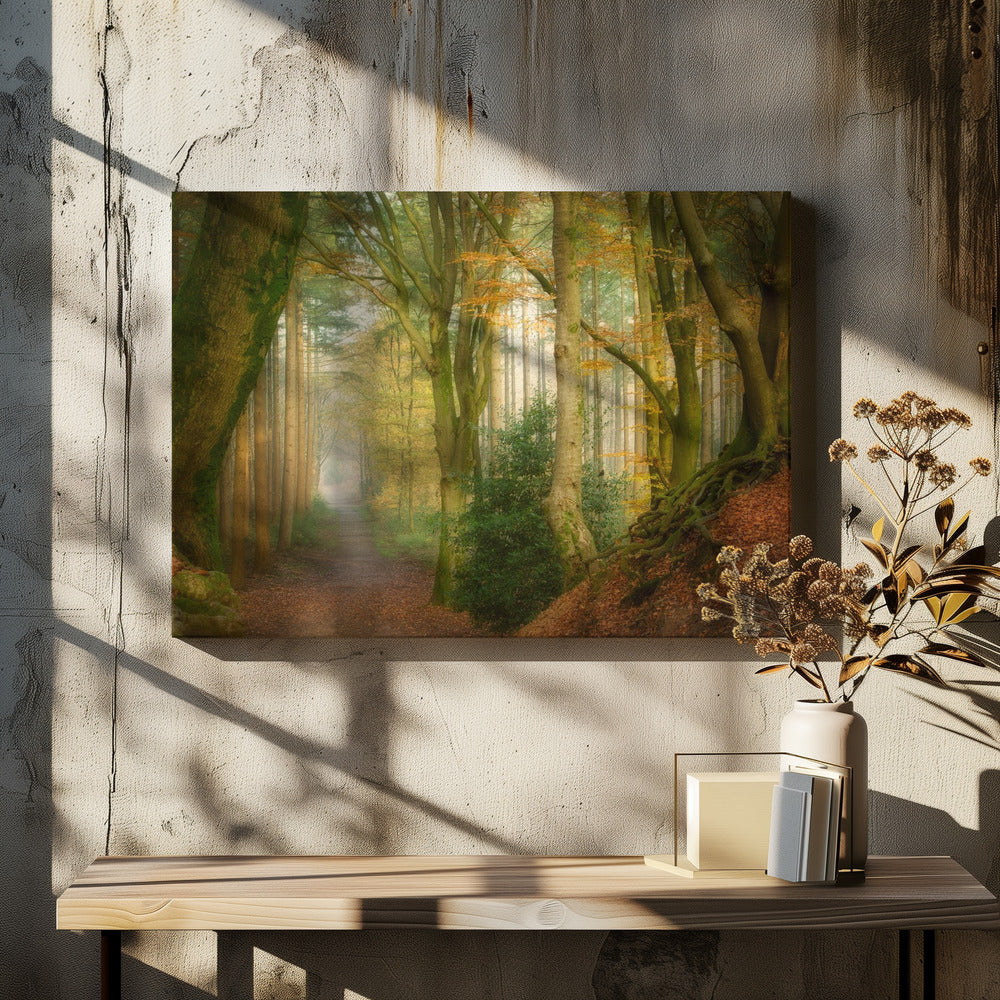 Following Fog | Canvas