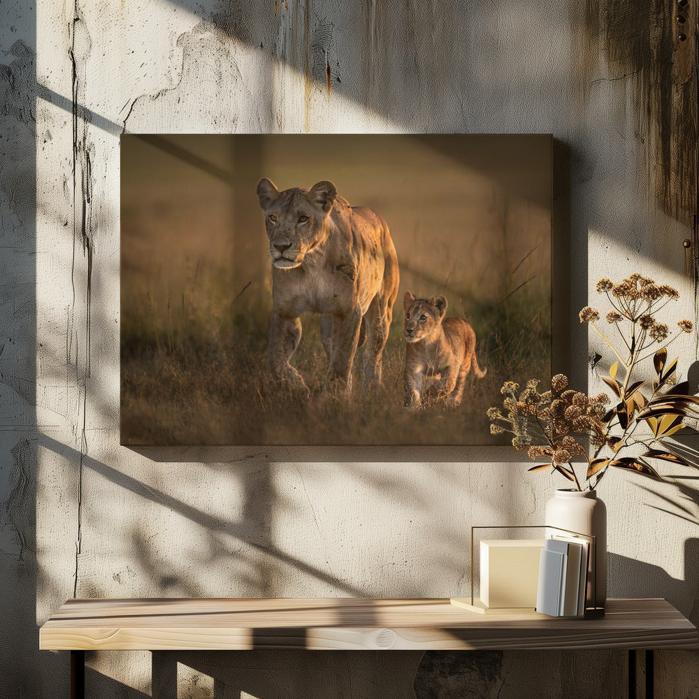 Mom lioness with cub | Canvas