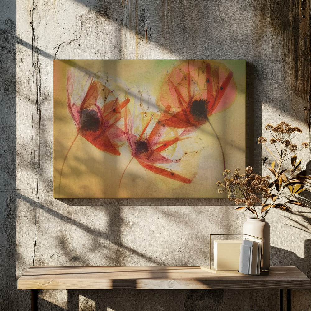 Poppy seeds | Canvas