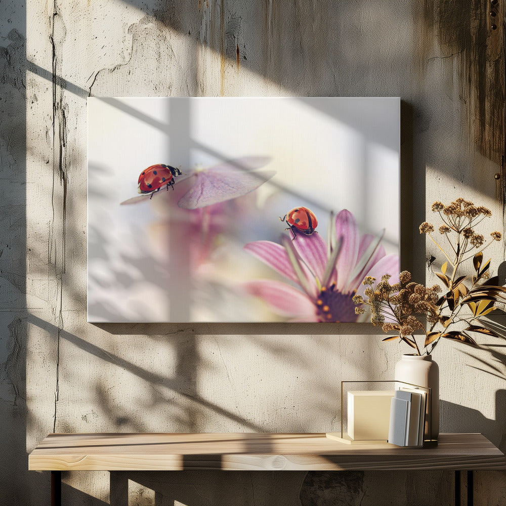 Last days of summer | Canvas