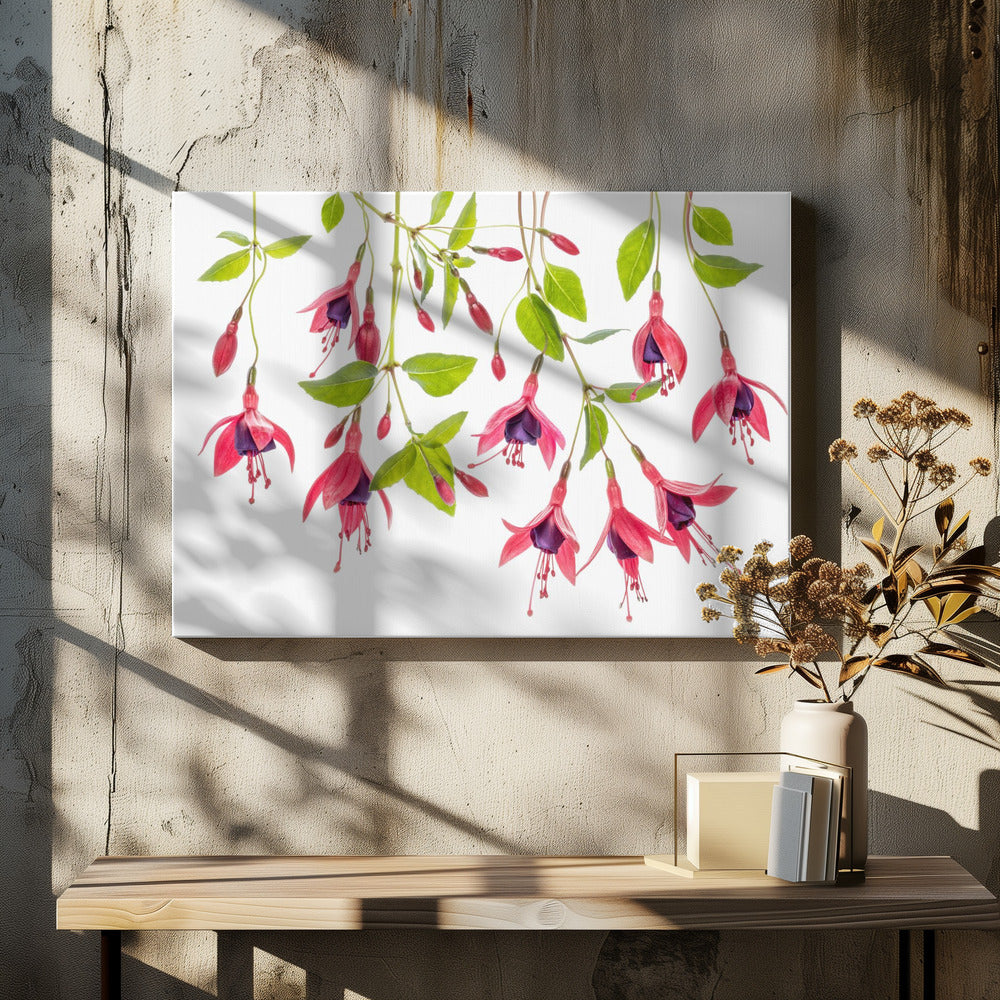 ~ Fuchsia ~ | Canvas