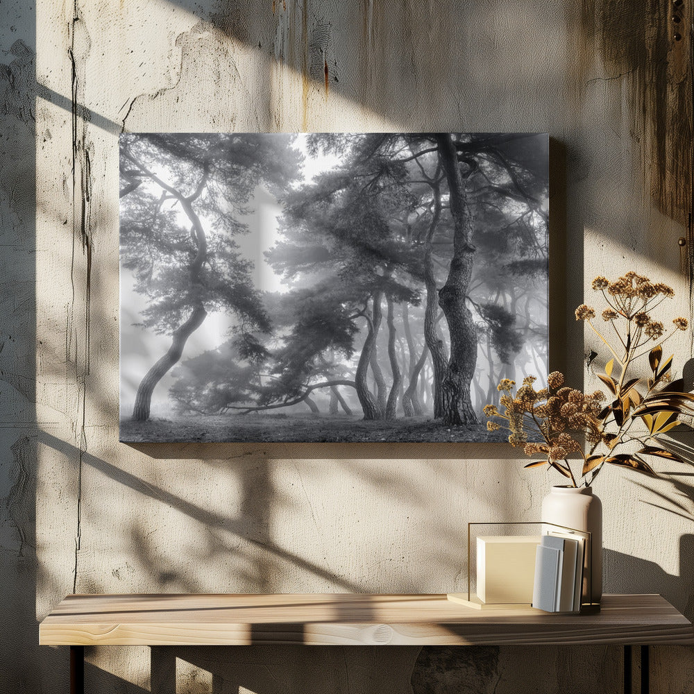 Endure for a hundred years | Canvas