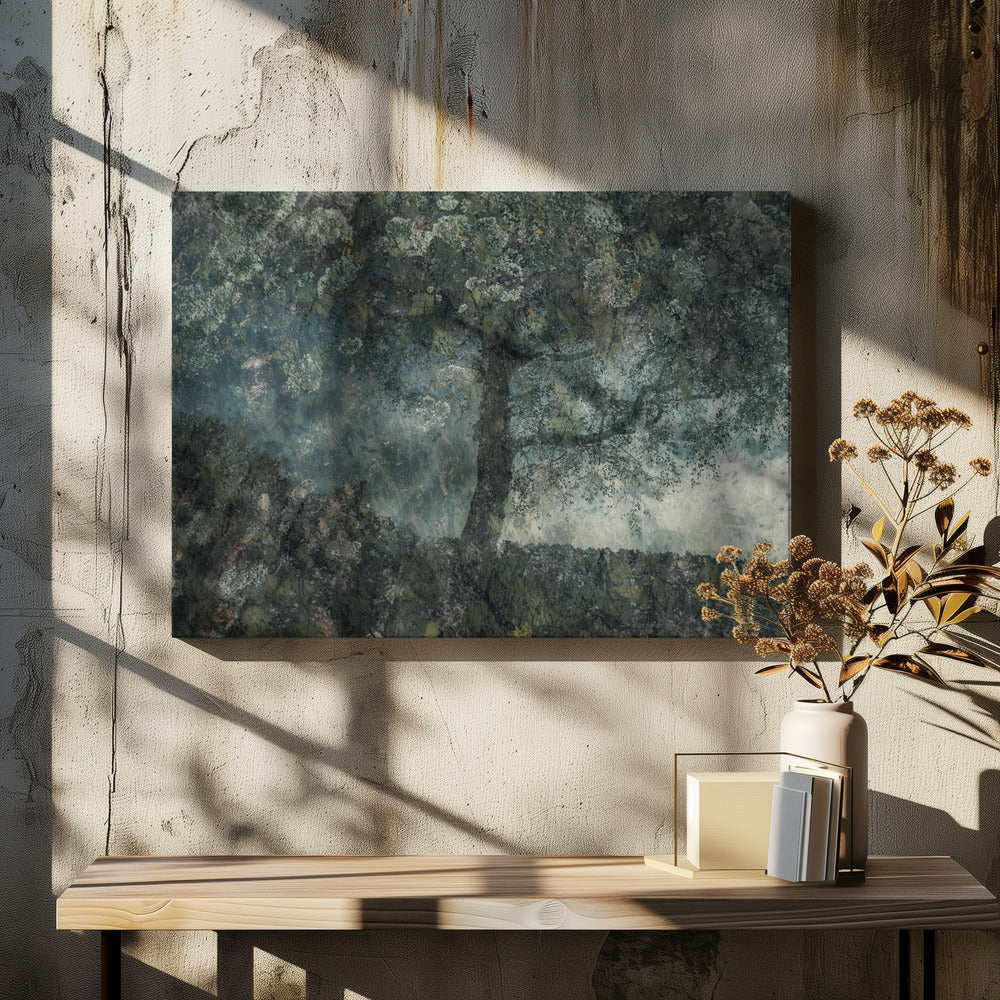 Rocks and a tree | Canvas