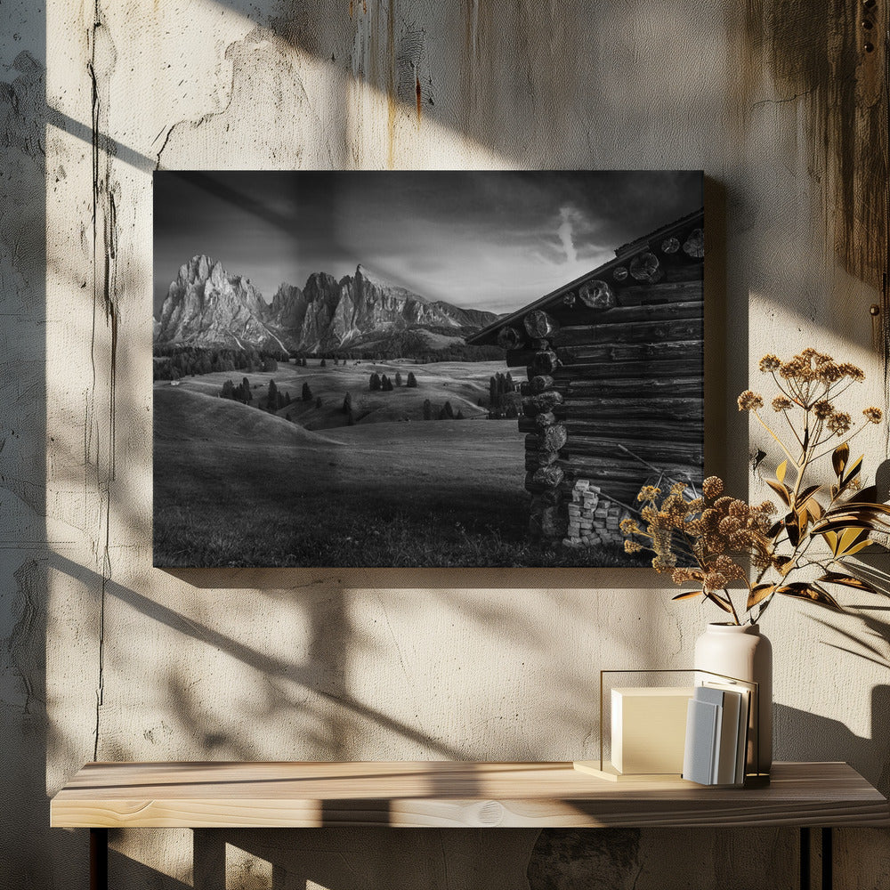 Untitled | Canvas