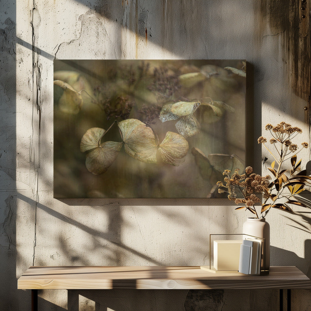 Winter is coming | Canvas