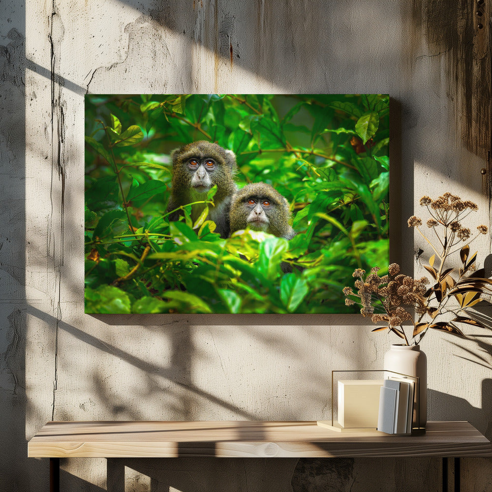 Blue Monkey | Canvas