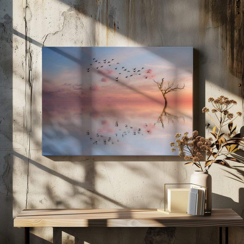 S.T. 006 | Canvas