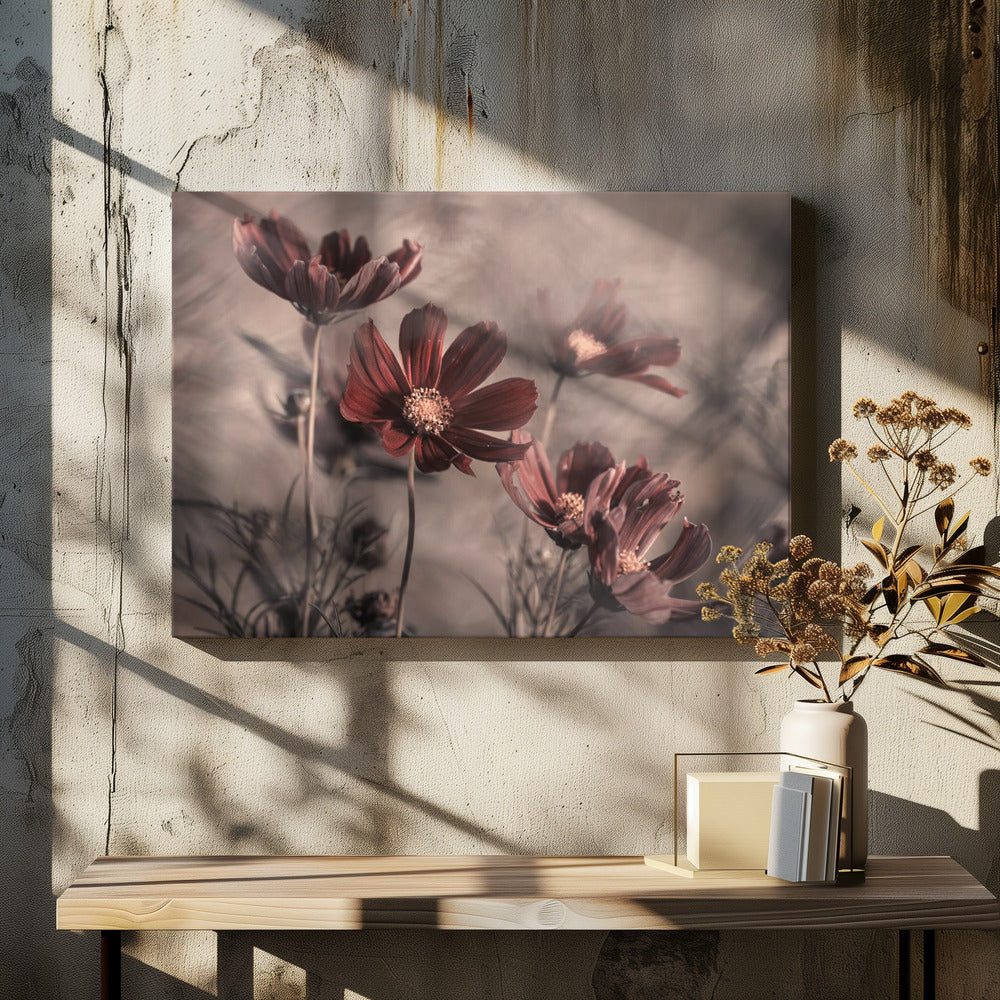 Cosmos 2019 | Canvas