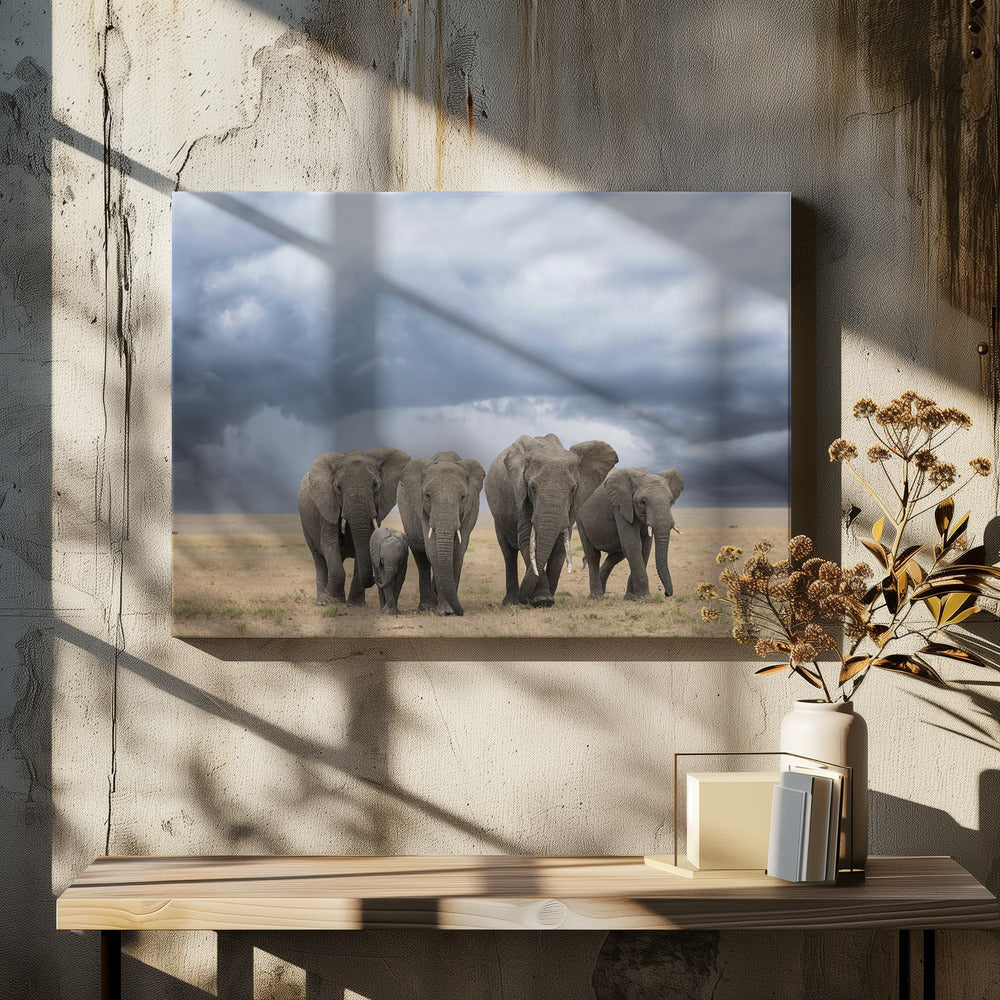 Elephant Walk | Canvas