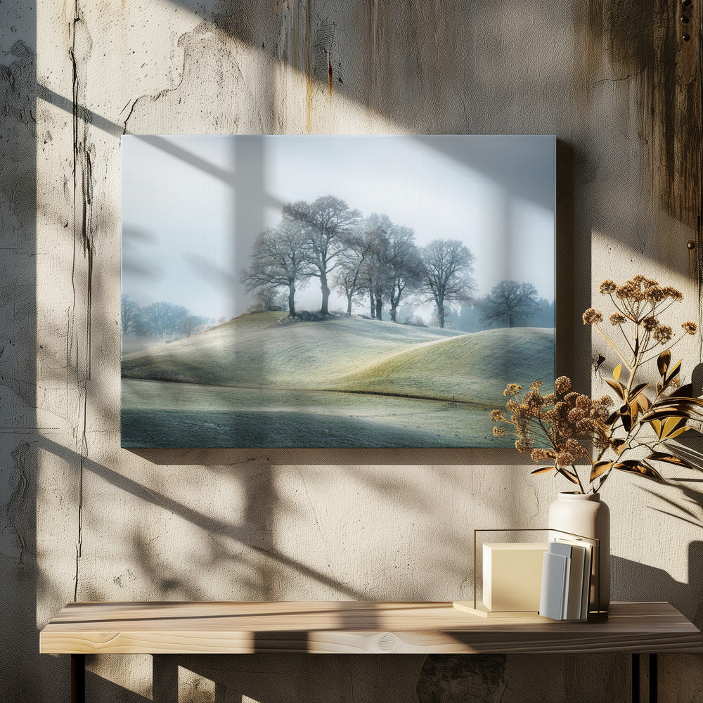 It is not in tuscany | Canvas