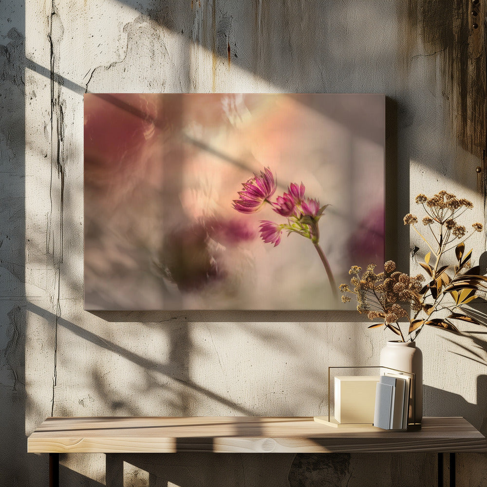 Soft and light | Canvas