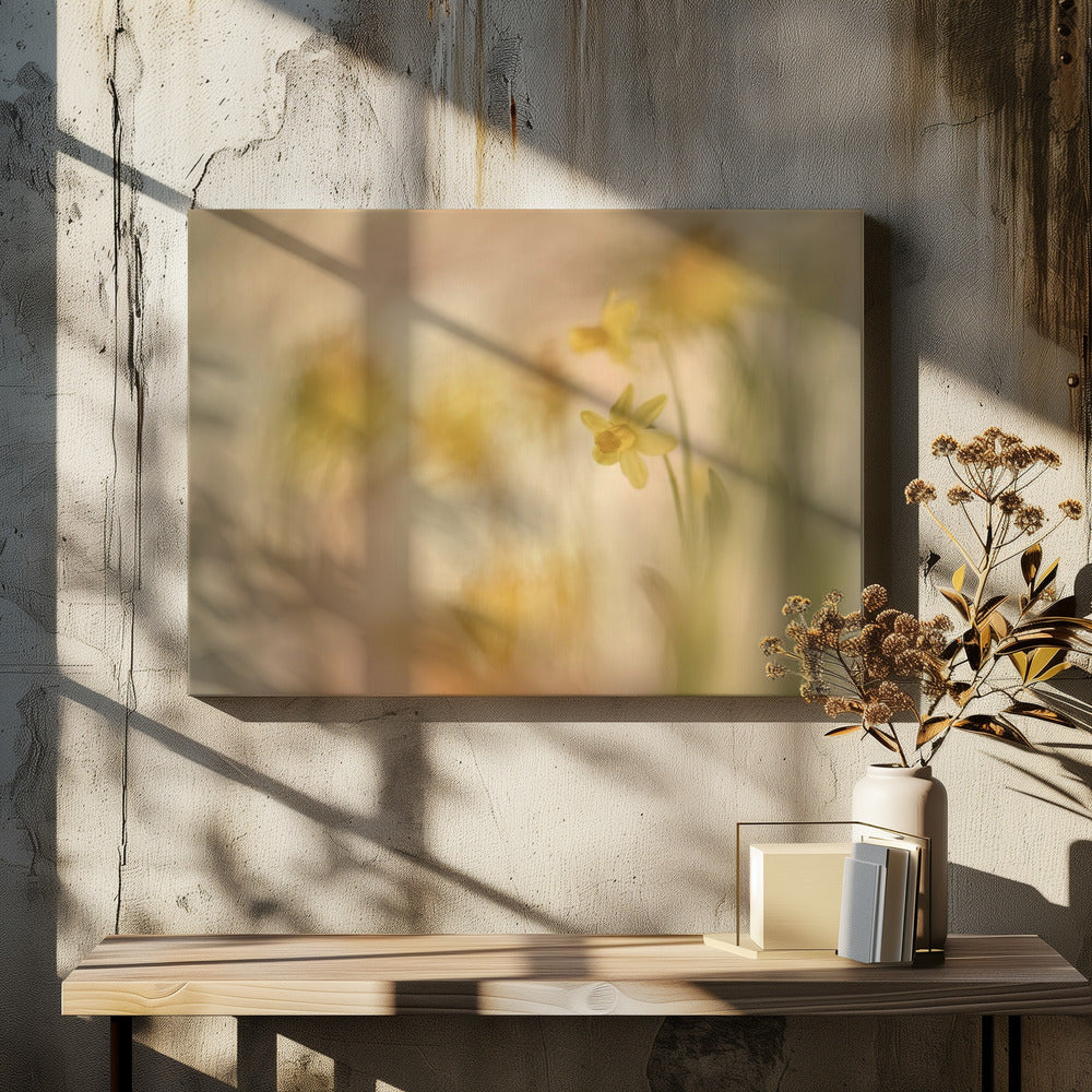 Daffodils | Canvas