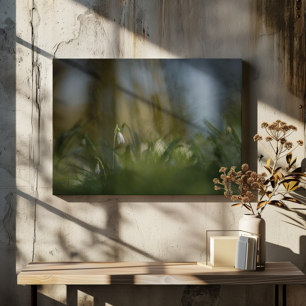 Almost alone... | Canvas