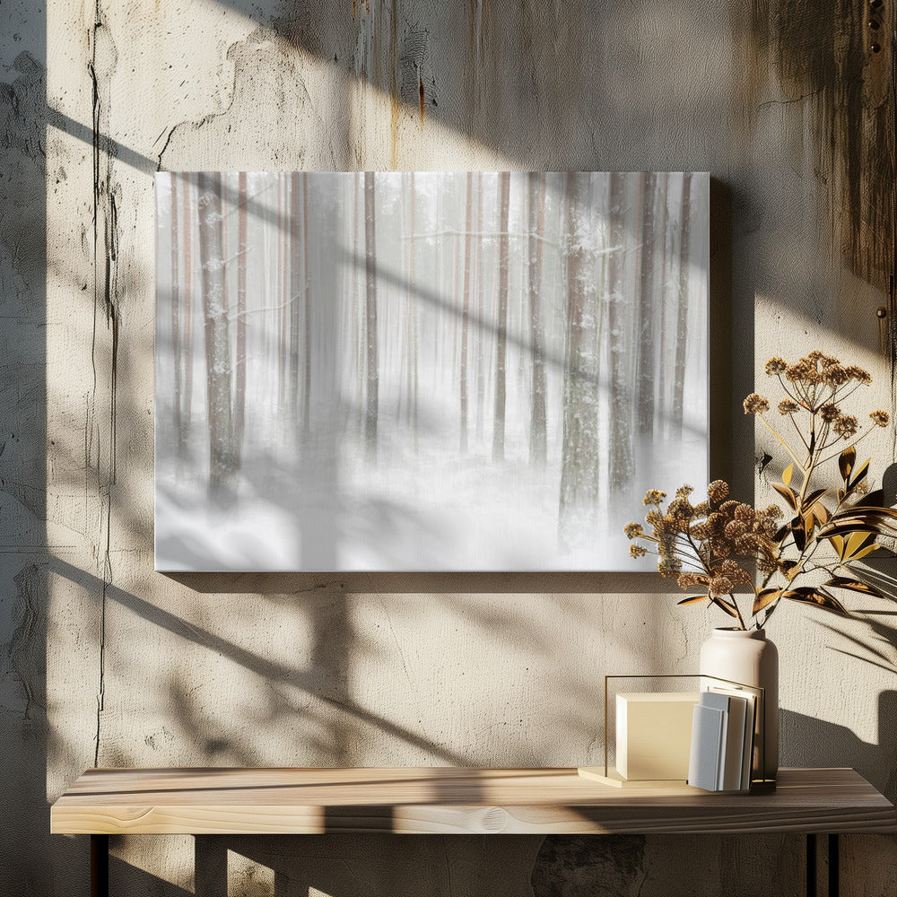 Winterforest in Sweden | Canvas