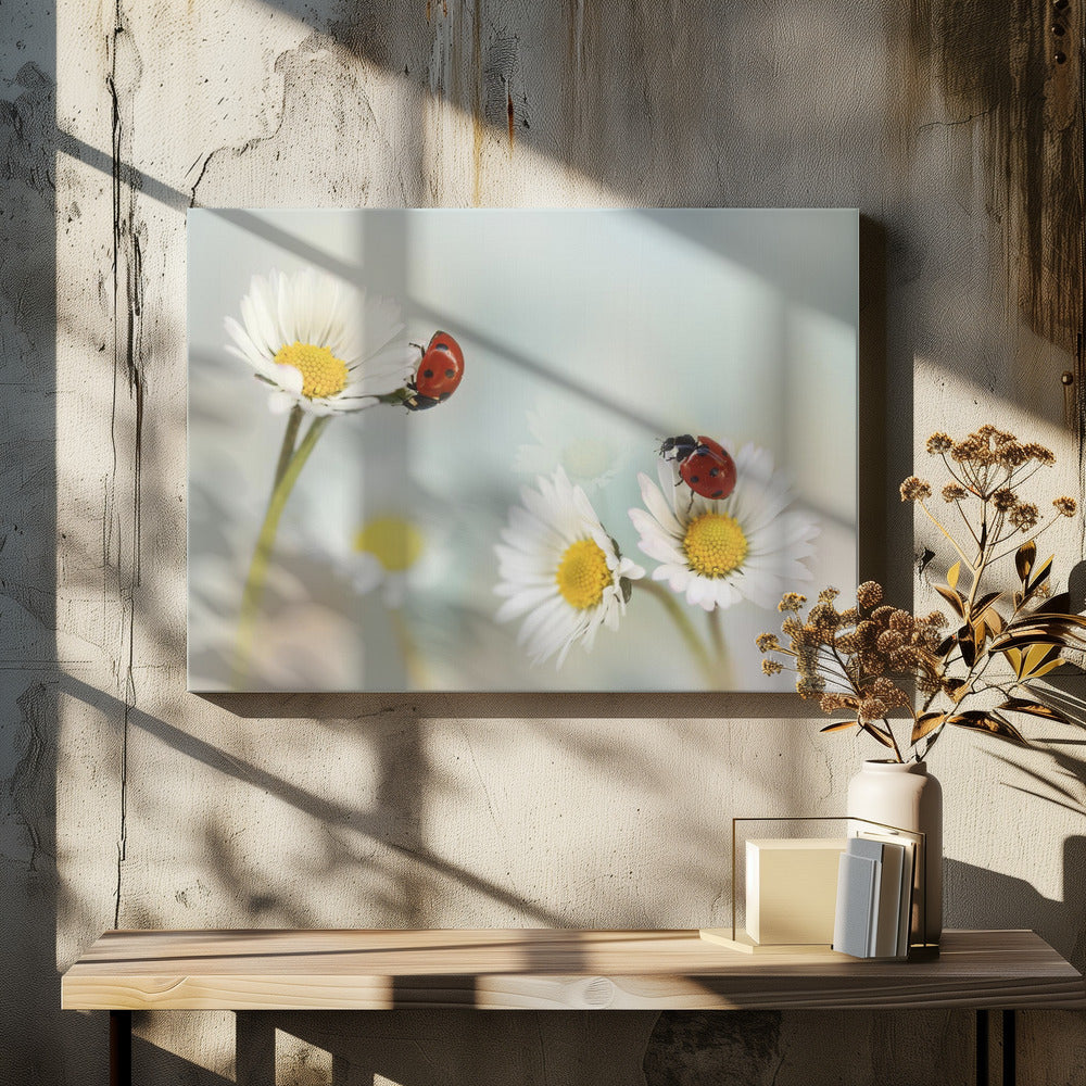 Springtime.... | Canvas