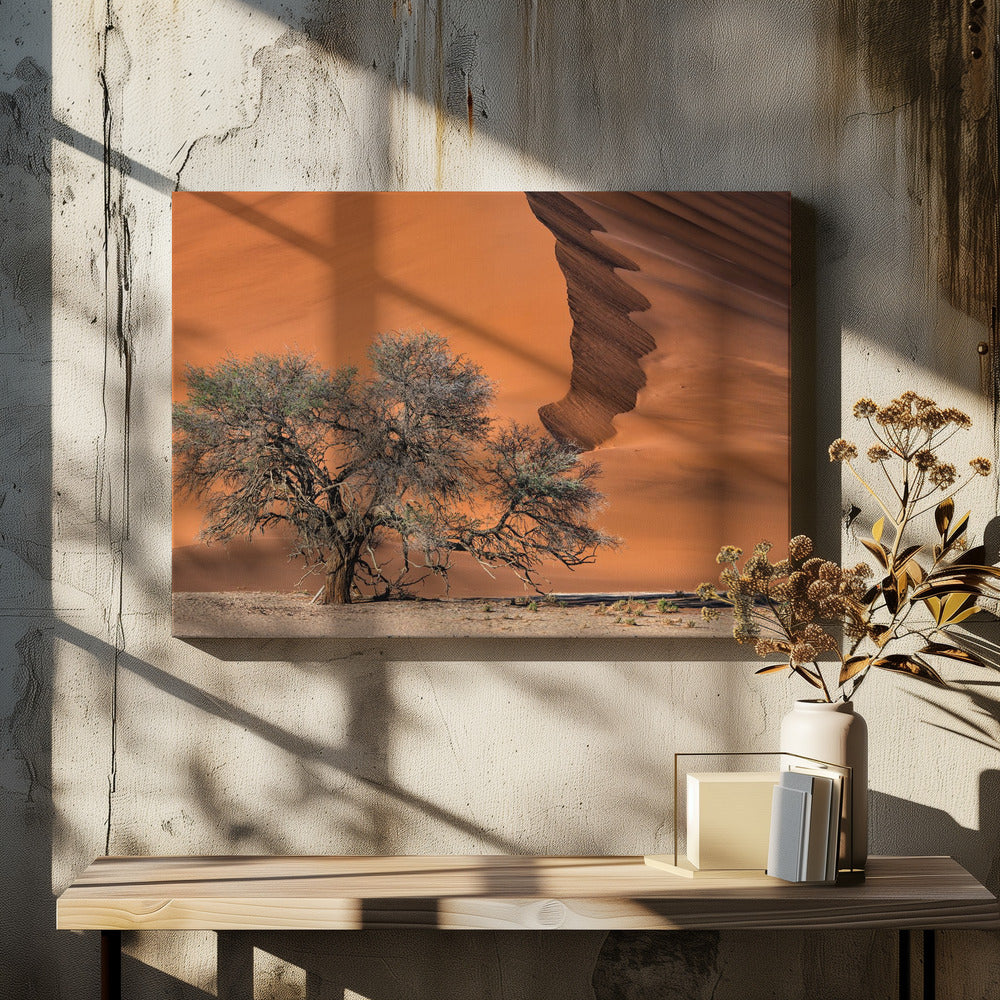 Acacia in the desert | Canvas
