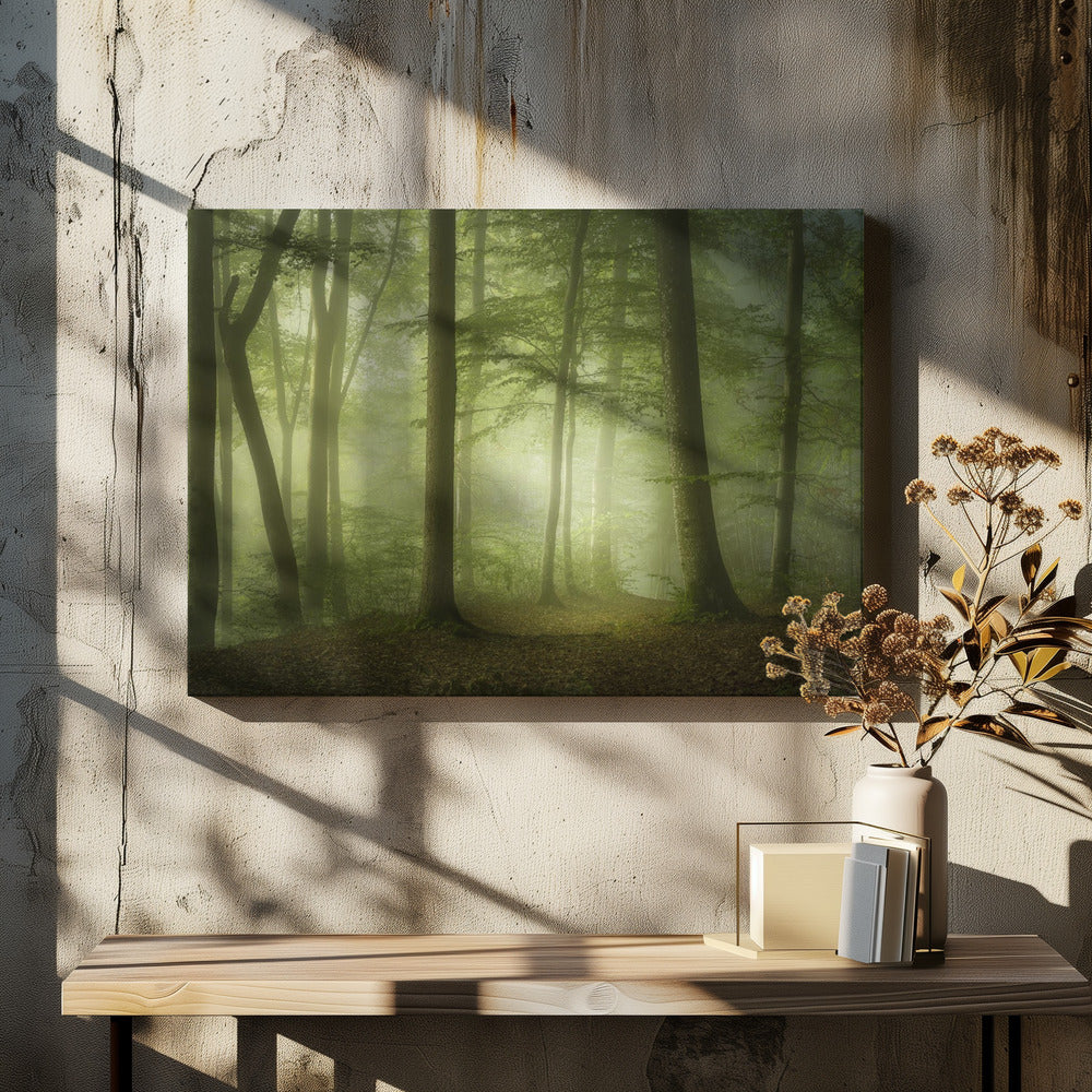 Mysterious Spring Morning | Canvas
