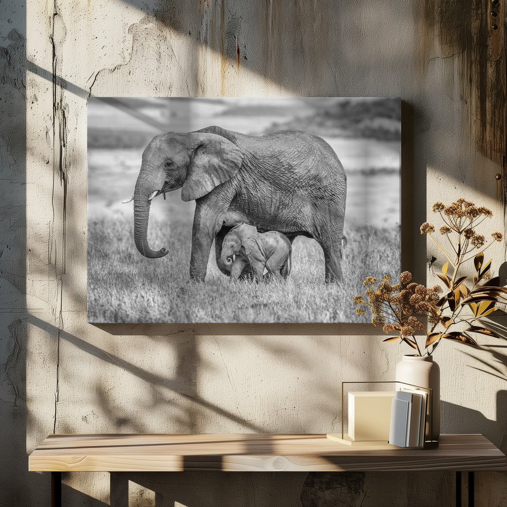 Staying close and protected | Canvas