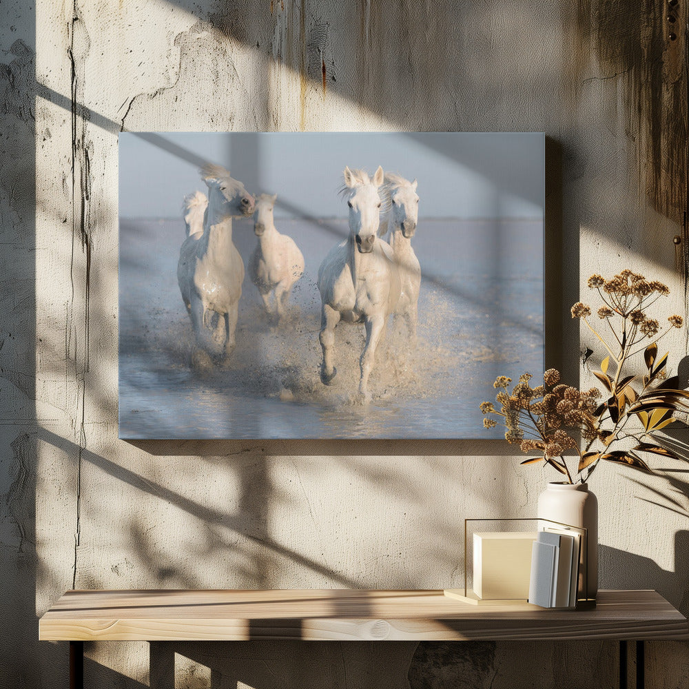 horses | Canvas