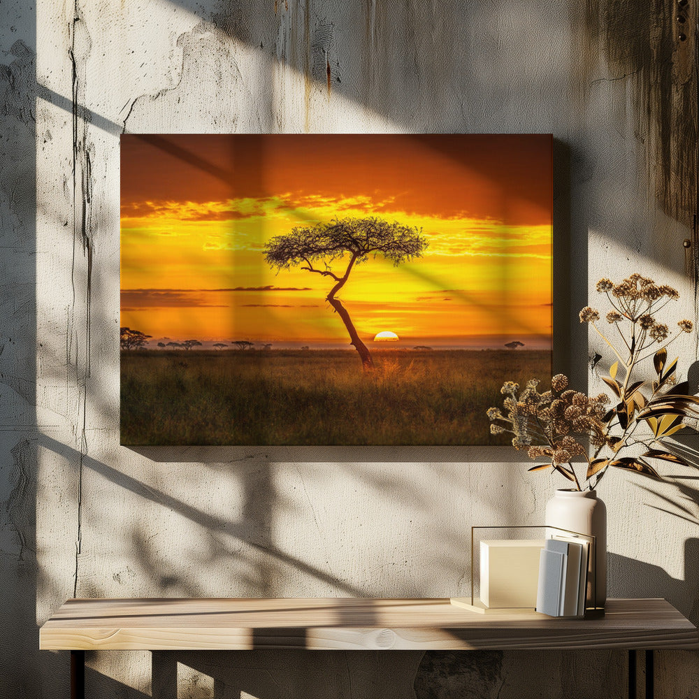 Primordial Africa | Canvas