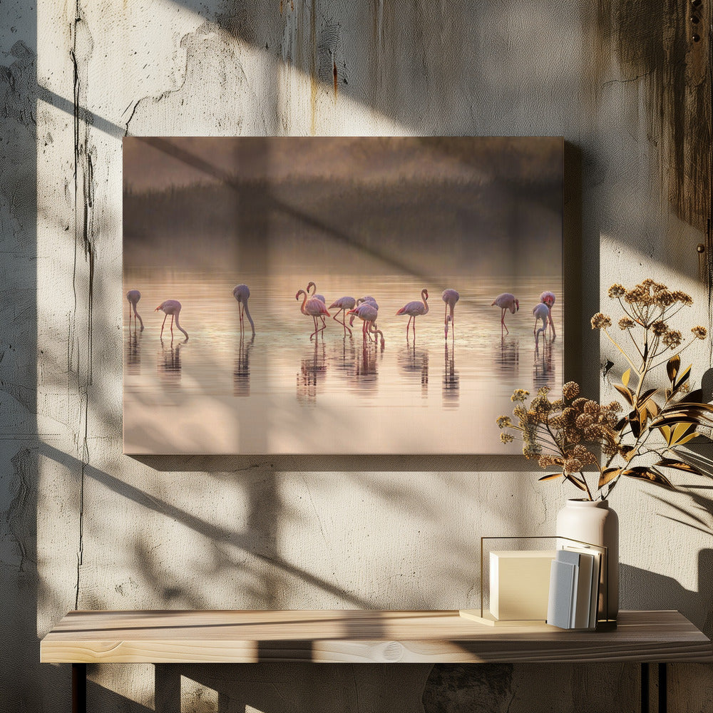 Photographic ode to Monet | Canvas
