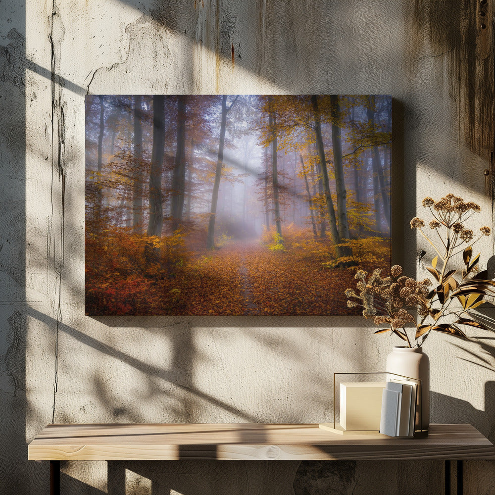 October Trail | Canvas