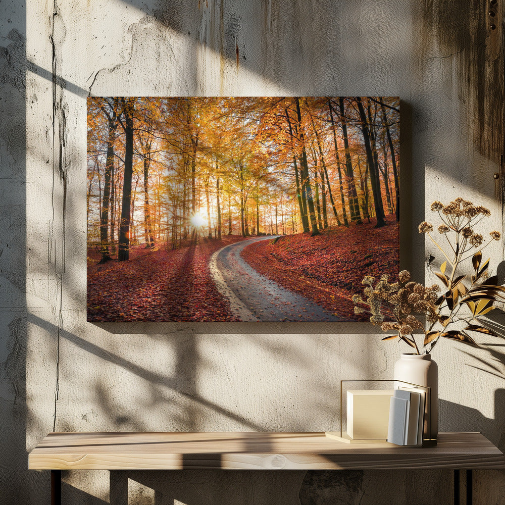 Road in SÃ¶derÃ¥sen nationalpark, Sweden | Canvas