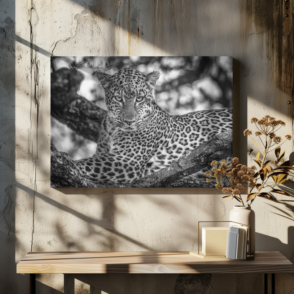 Monochrome beauty | Canvas