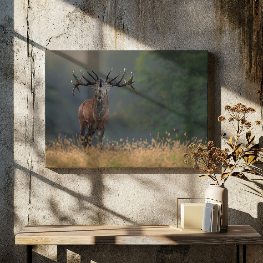 Deer wedding Song | Canvas