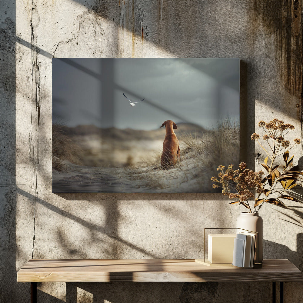 FREEDOM (II) | Canvas