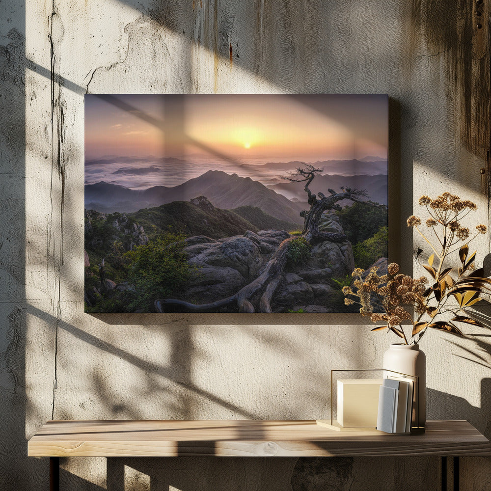 Sunrise on Top | Canvas