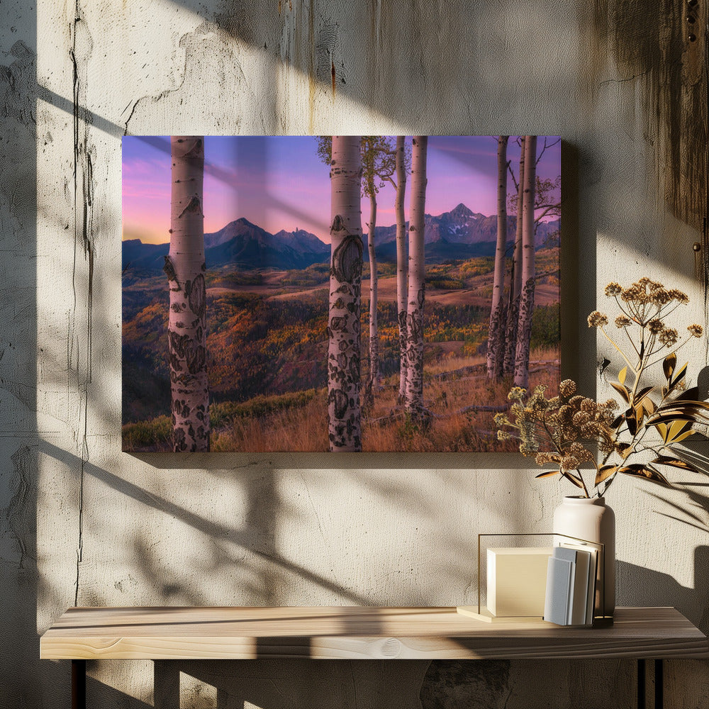Aspen Frames | Canvas