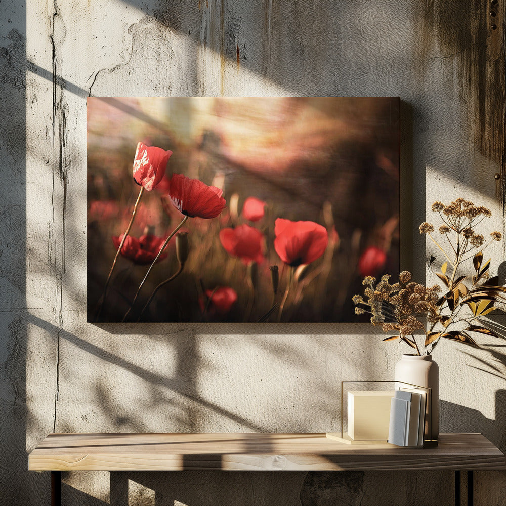 morning air | Canvas