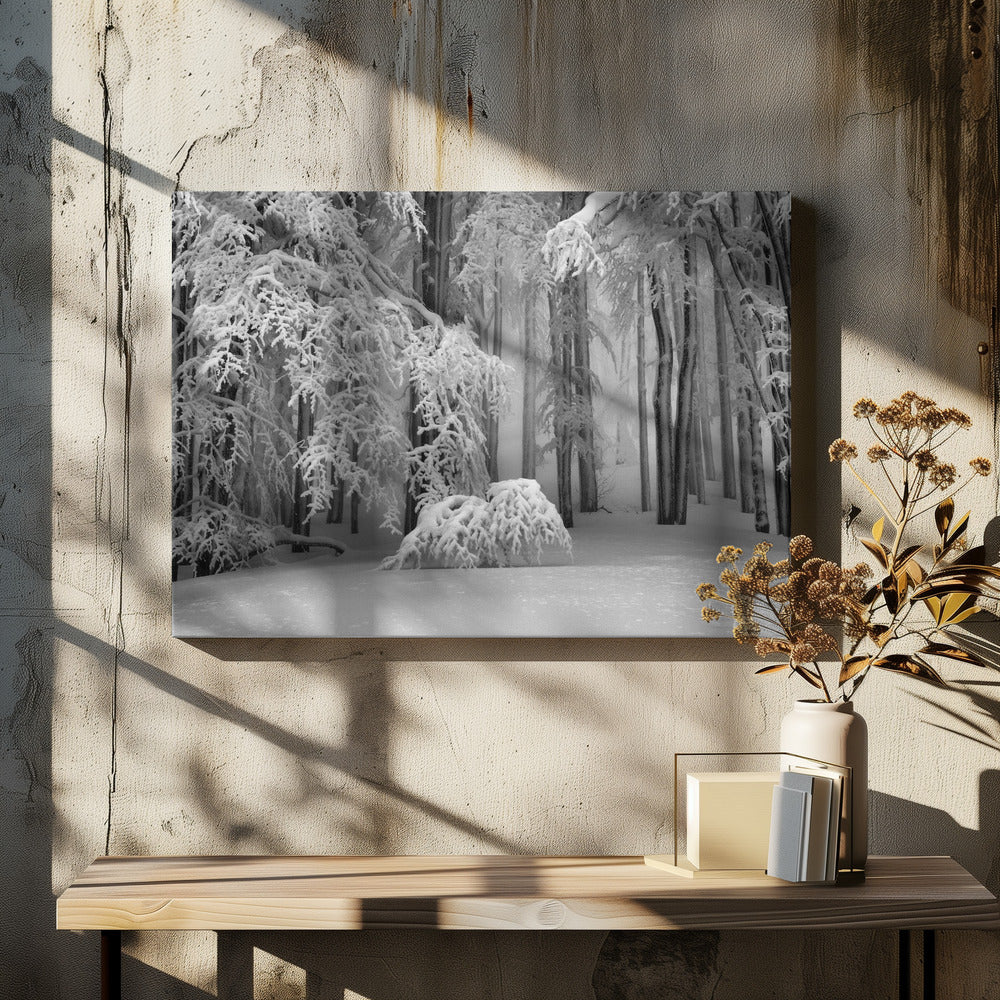 Perfect Winter | Canvas