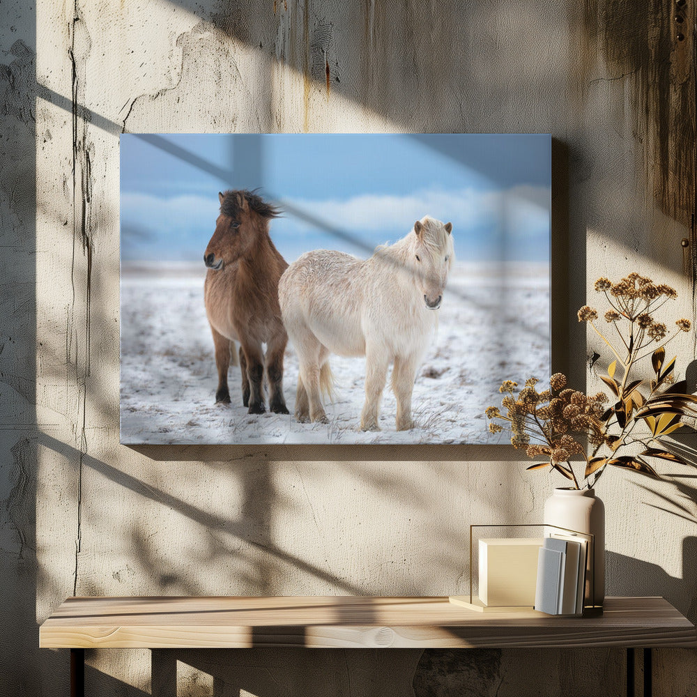 B R O T H E R S | Canvas