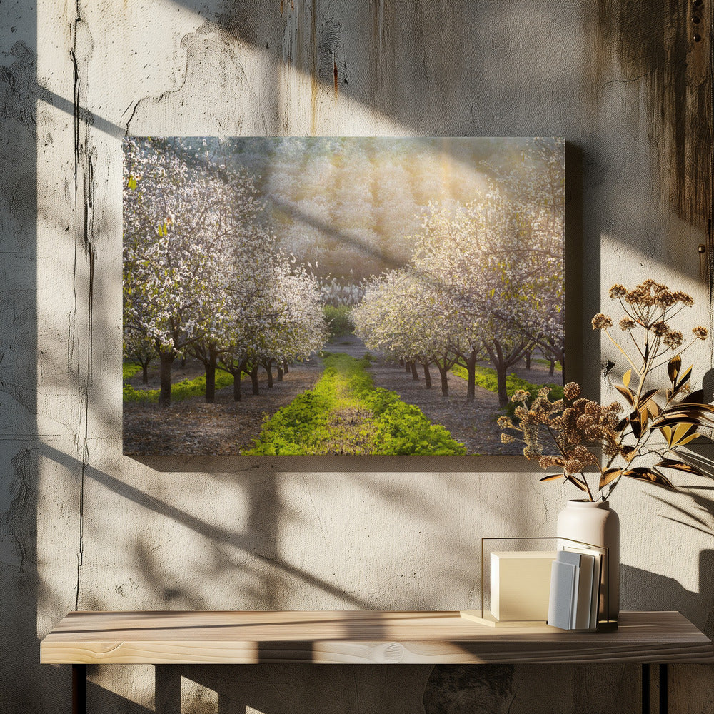 Golden Almonds | Canvas
