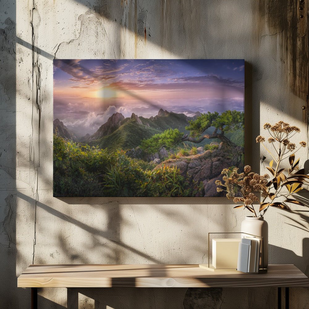 Pine tree on the rock | Canvas