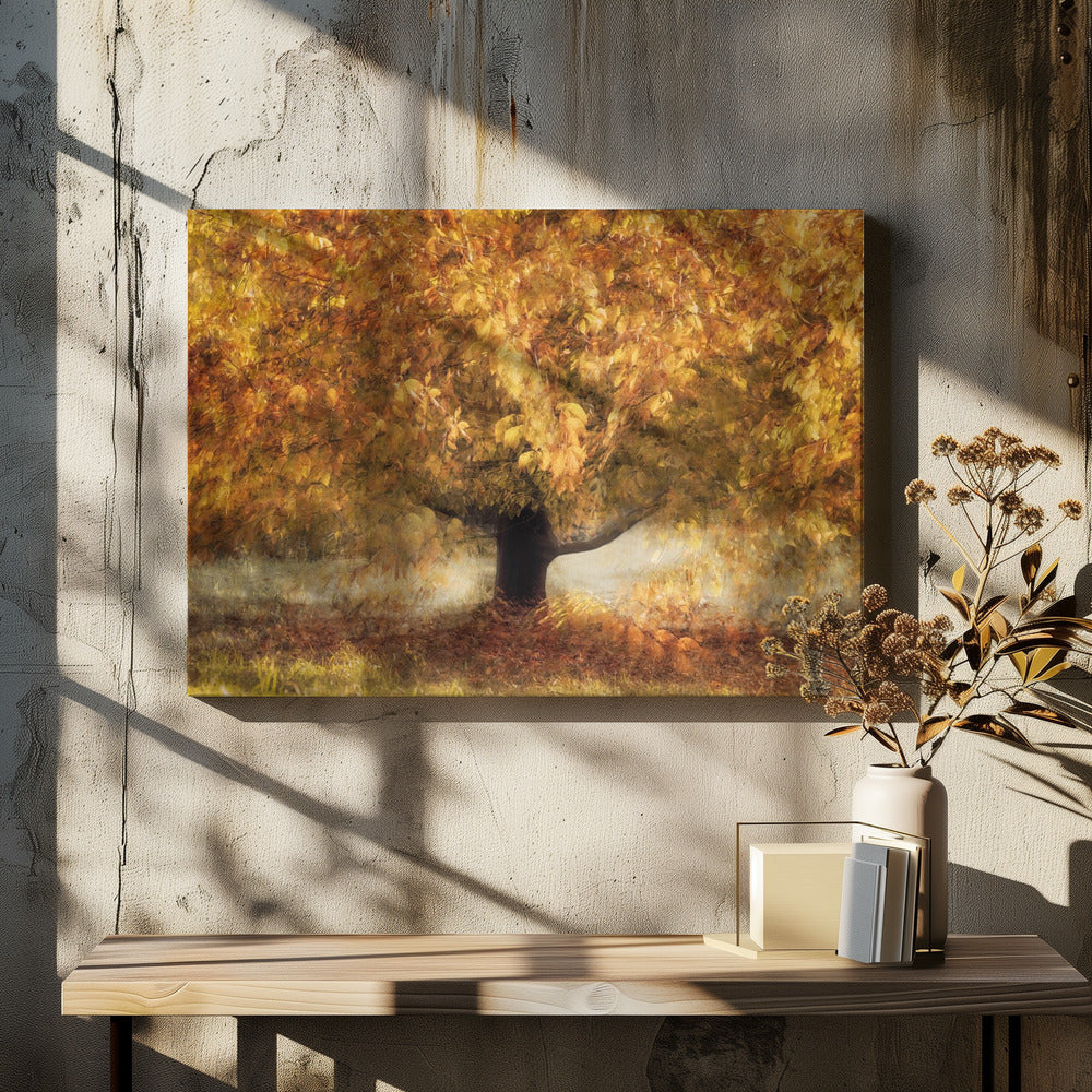 Gold colors | Canvas