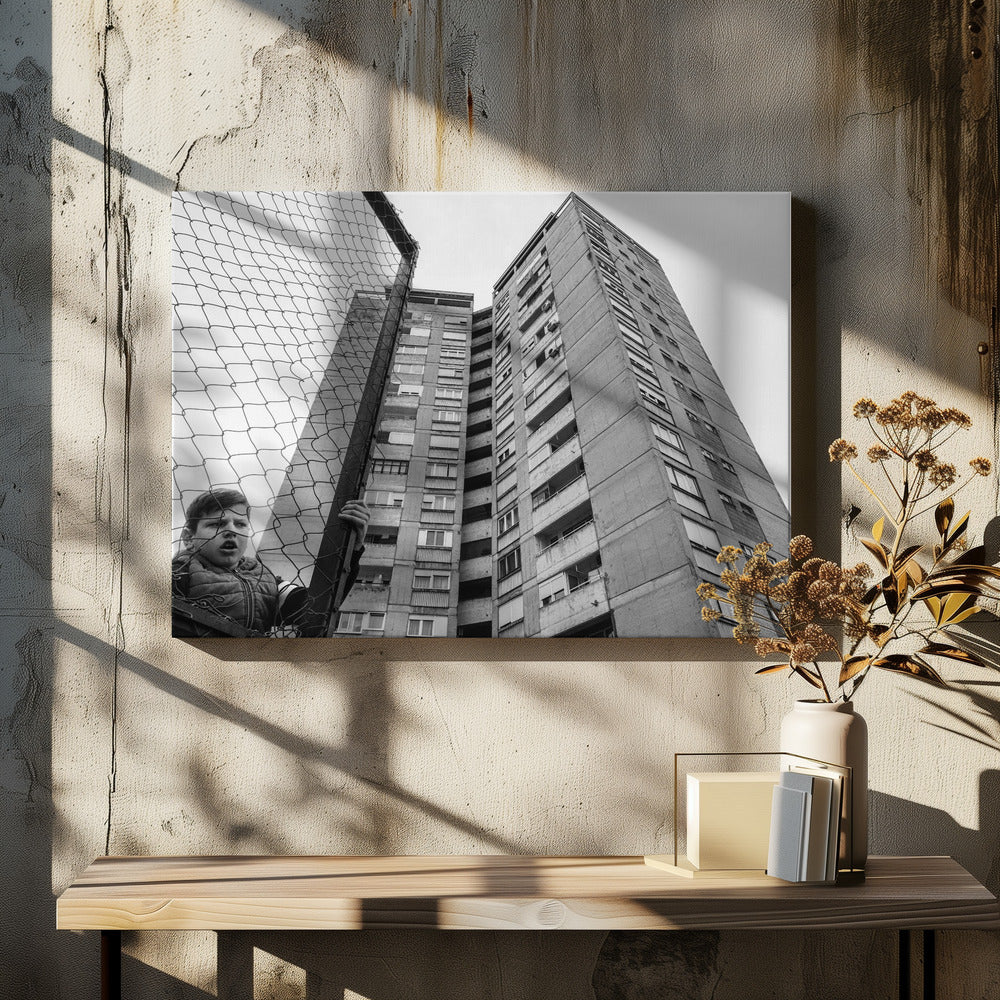 The boy behind the fence | Canvas