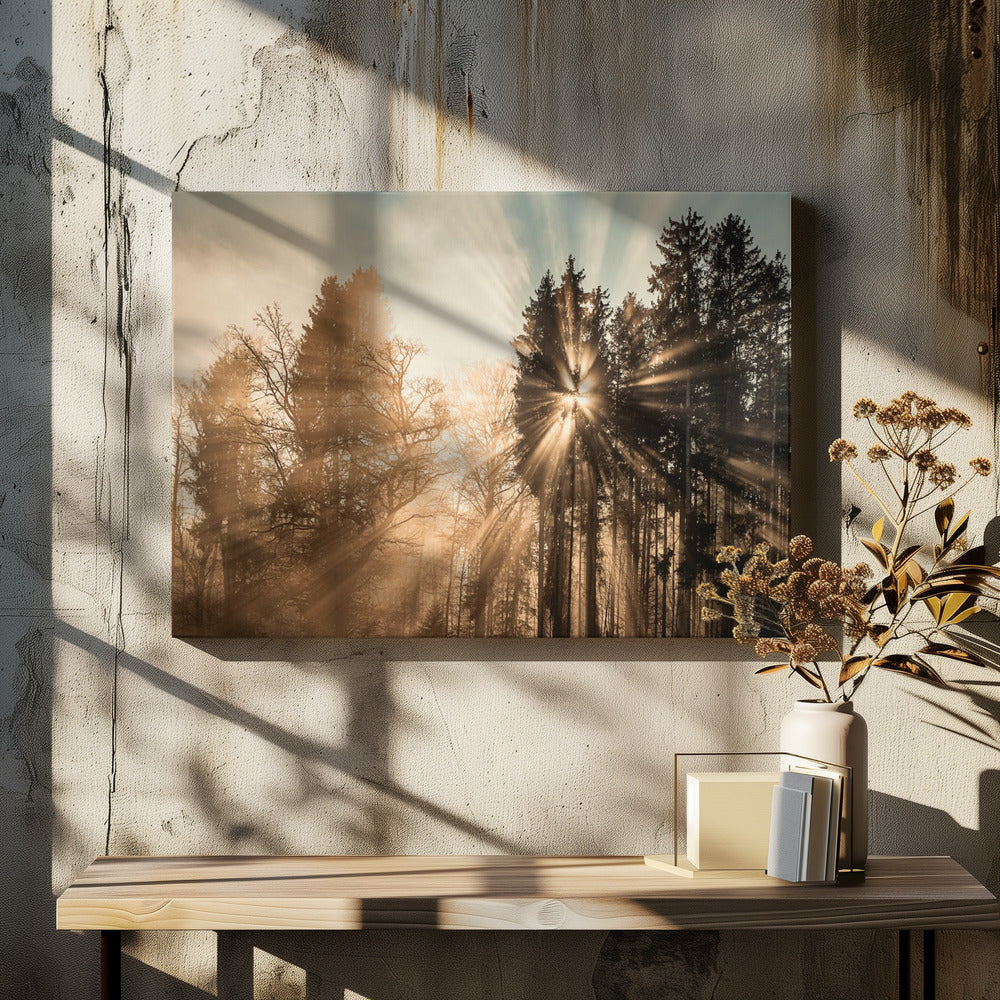 Fading away | Canvas