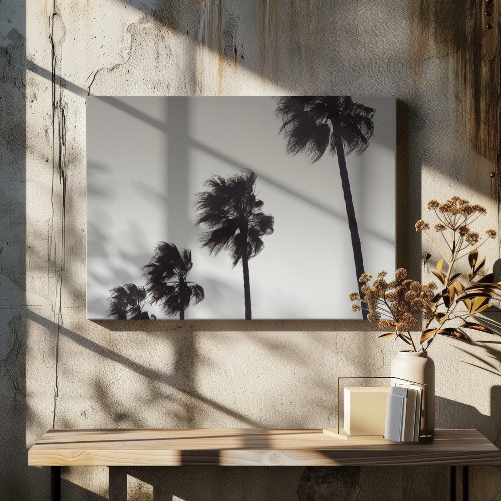 Palm_004 | Canvas